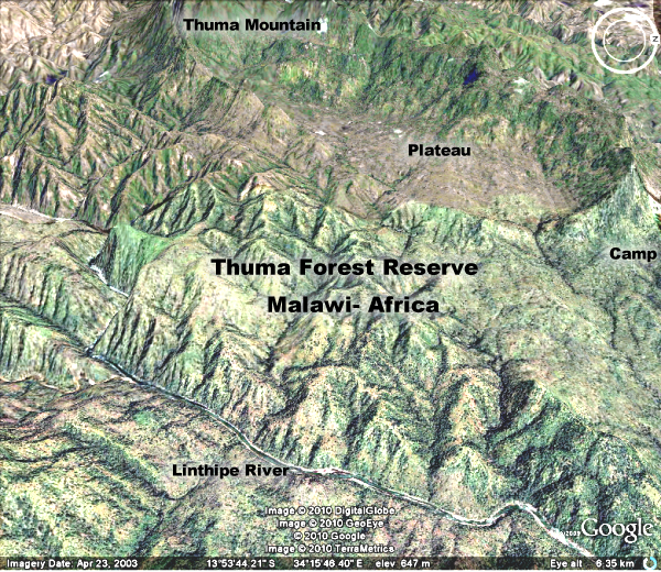 007 thuma forest rugged with locations